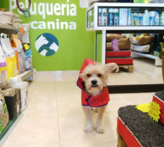 Nuestro patrocinador