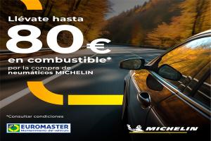 Comprar Neumáticos Michelín *