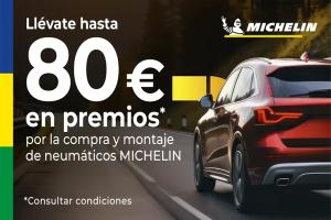Comprar **Neumáticos Michelín