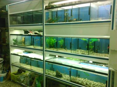 Centro Veterinario Andorra foto 1