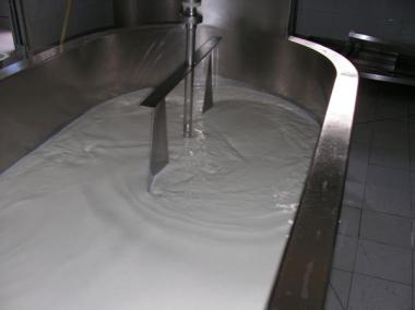 Quesos los Arcos foto 1