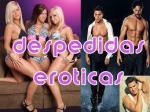 Espectáculos Masterpop foto 4