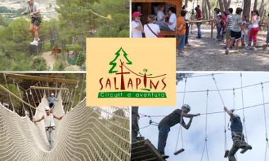 Saltapins foto 1