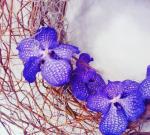 aeternalia.com foto 2