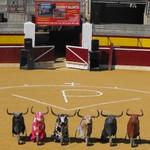 Espectáculos Pasión y Valentia foto 3