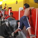 Espectáculos Pasión y Valentia foto 5