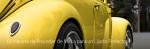 Auto Sanal S.L foto 6
