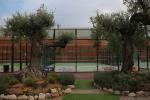 ASP Aragón Sport Padel Calanda foto 2