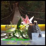 Masajes The spirit regional foto 3