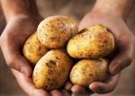 Patatas Tejero, S.L. foto 2
