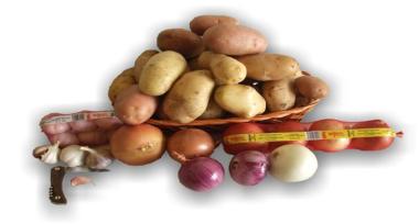 Patatas Tejero, S.L. foto 1