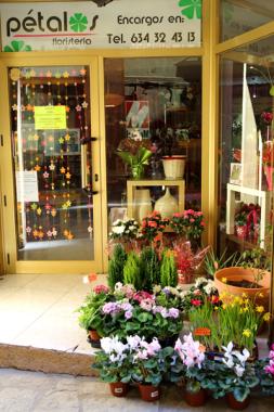 Floristería Petalos foto 1