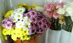 Floristería Petalos foto 5
