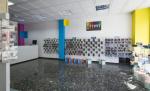 Color Plus foto 4