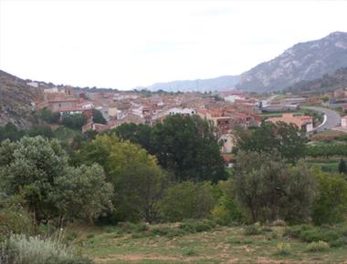 Mermelada el Ababol foto 1