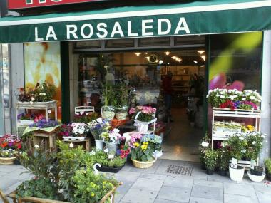 La Rosaleda foto 1