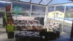 Camping La Font foto 12