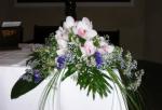 Mile Jardin Hogar foto 9