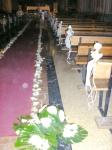 Mile Jardin Hogar foto 15