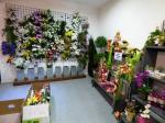 Mile Jardin Hogar foto 3