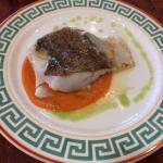 Hotel el Salt foto 14