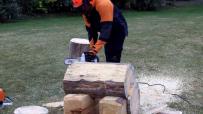 Motosierra STIHL
