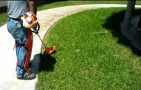 Motoguadaña FS38 STIHL