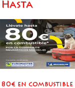 Comprar Neumáticos Michelin Euromaster