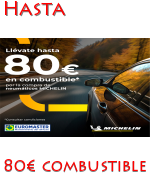 Comprar Neumáticos Michelín *